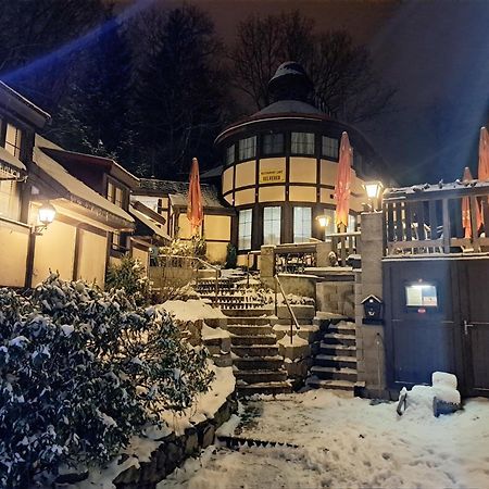 Penzion A Restaurace Belveder Romantico, Mini-Zoo, Free Parking Jáchymov Exterior foto
