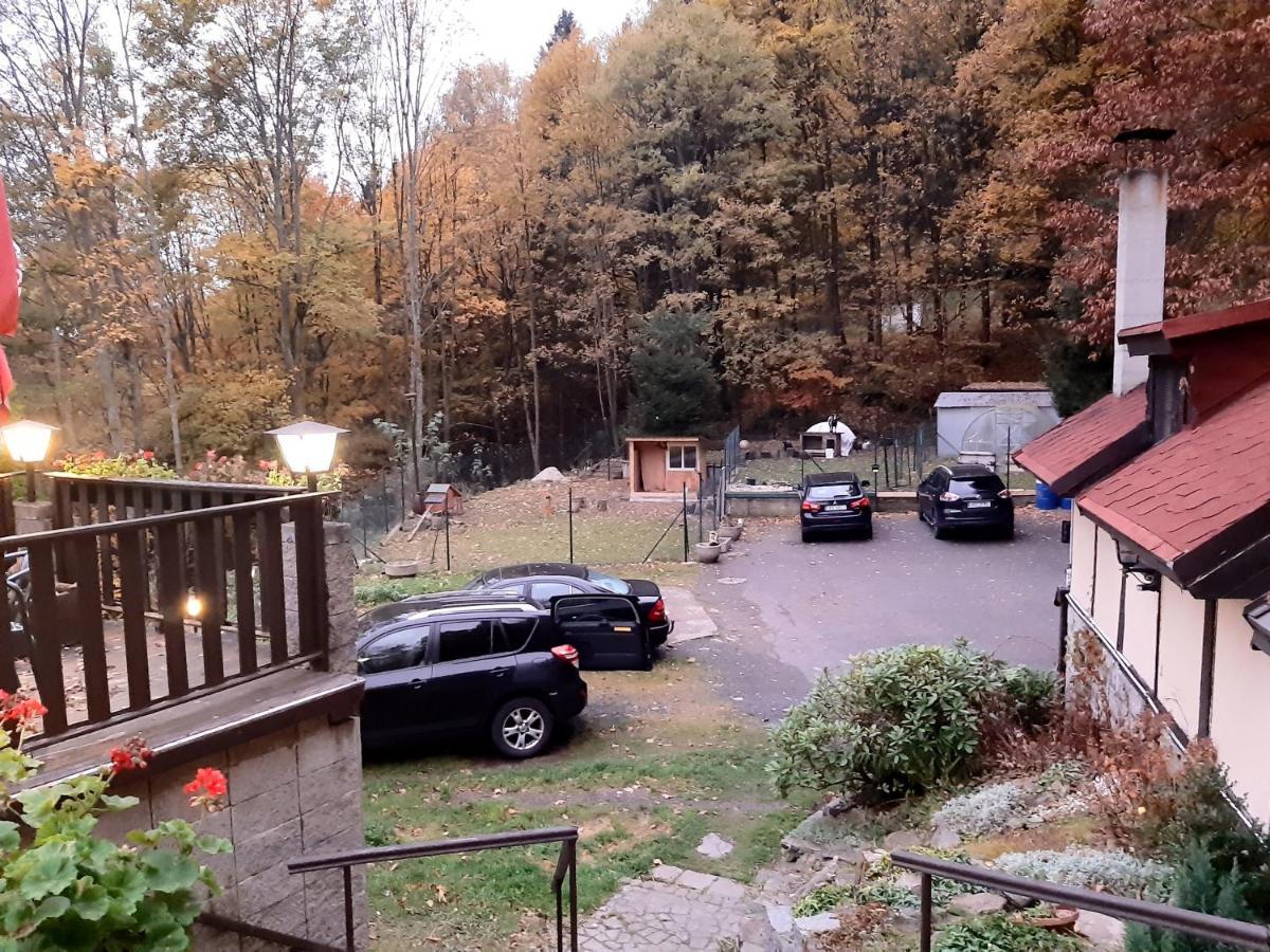 Penzion A Restaurace Belveder Romantico, Mini-Zoo, Free Parking Jáchymov Exterior foto